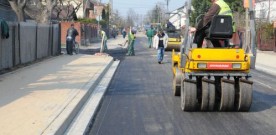 Duczki: Willowa pięknieje
