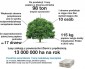 Uczniowie ocalili 28 000 drzew!