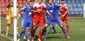 Remis goni remis