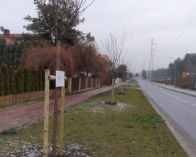 Znów będzie zielono!